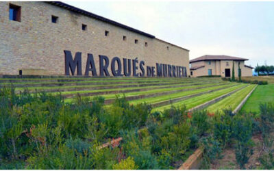 Instalaciones electromecanicas para Bodegas Marqués de Murrieta (Logroño- La Rioja)